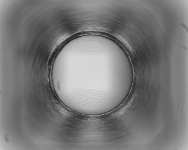 X0000097770974200803211733