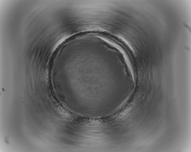 X0000097770975200803211733
