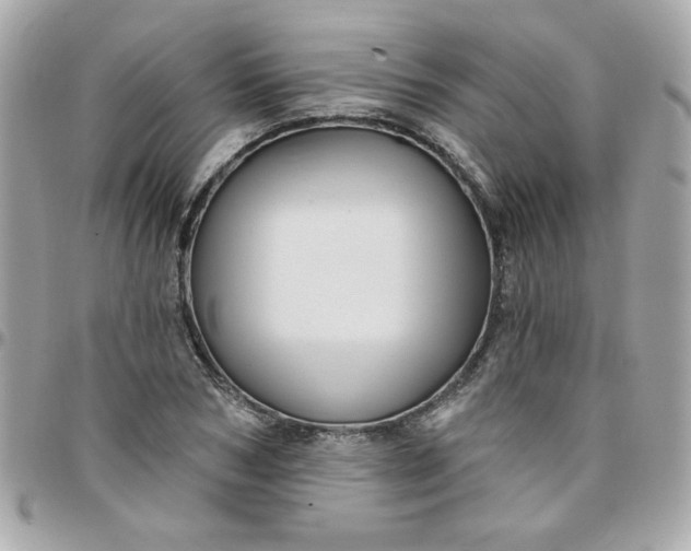X0000097770978200803211733