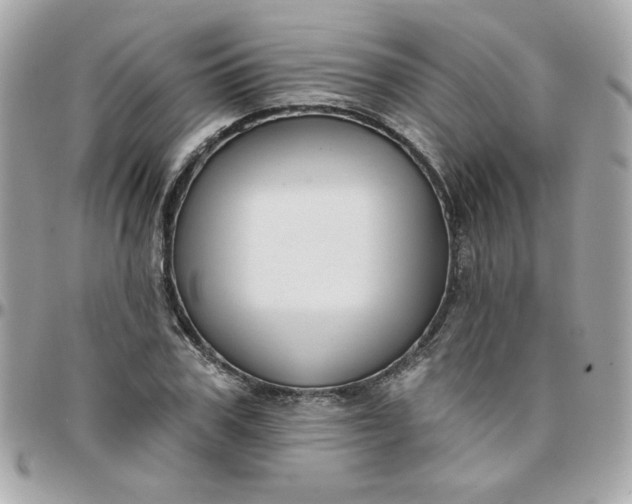 X0000097770979200803211733