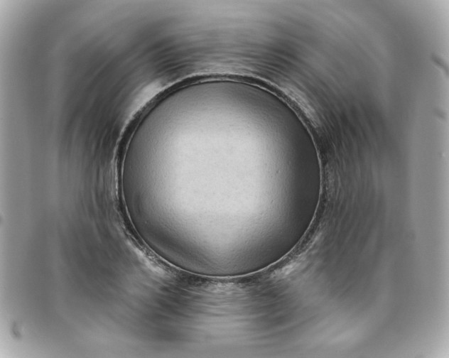X0000097770982200803211733