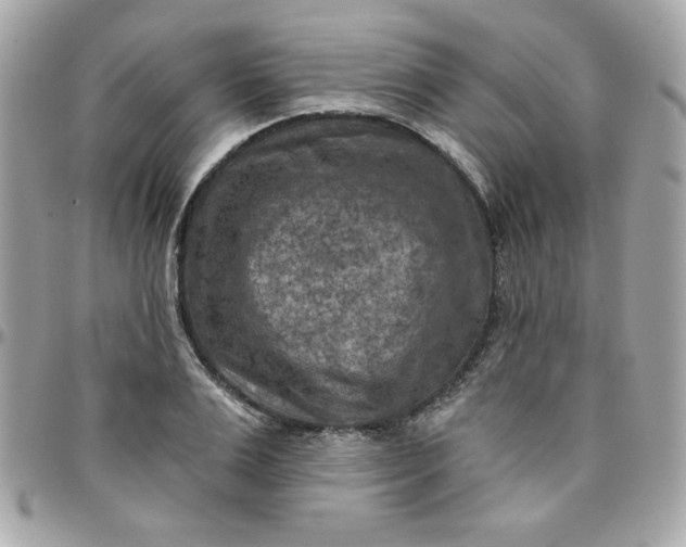 X0000097770983200803211733