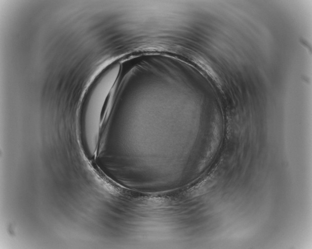 X0000097770984200803211733