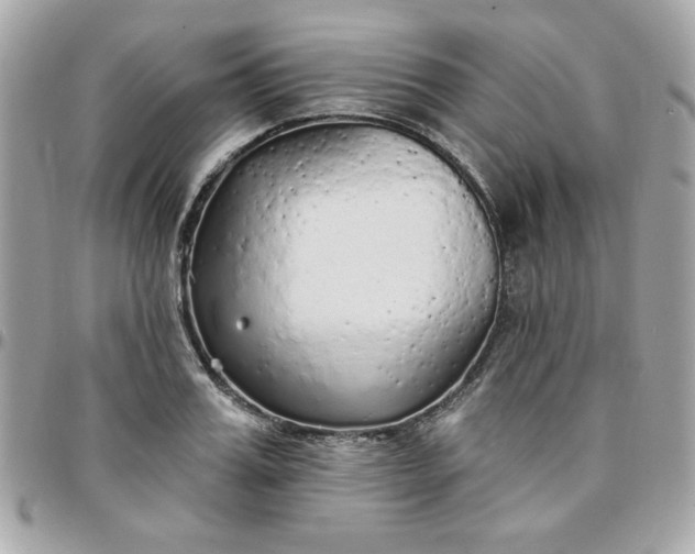 X0000097770987200803211733