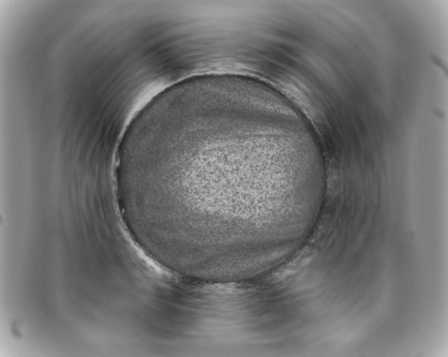 X0000097770990200803211733
