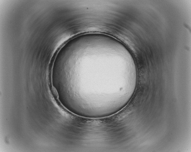 X0000097770991200803211733