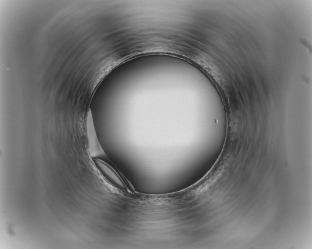 X0000097770993200803211733