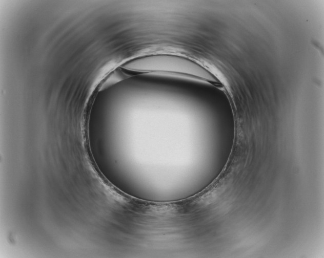 X0000097770997200803211732