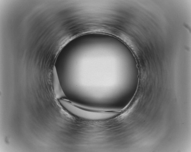 X0000097771001200803211732