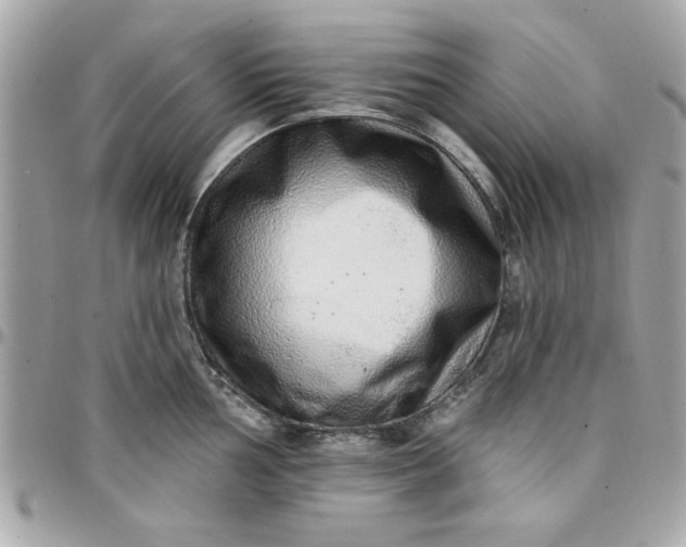 X0000097771002200803211732
