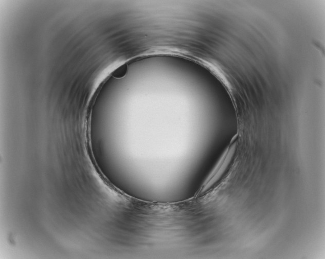 X0000097771003200803211732