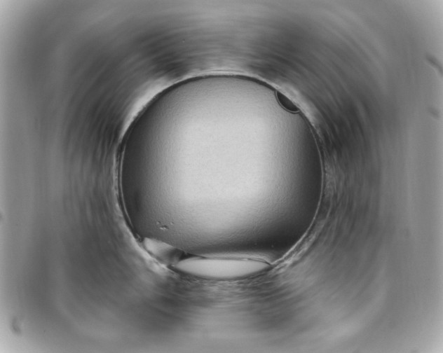 X0000097771006200803211732