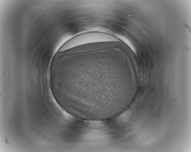 X0000097771007200803211732