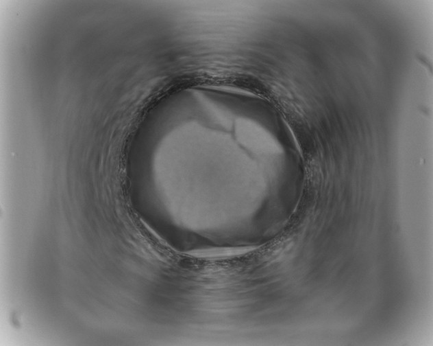 X0000097771009200803211731