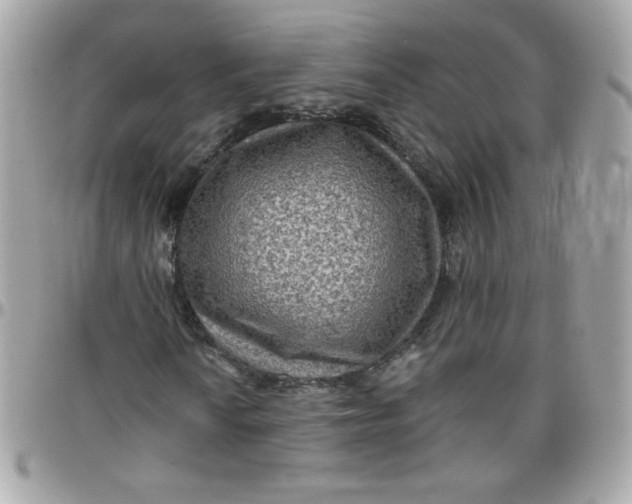 X0000097771010200803211731