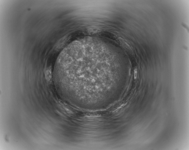 X0000097771011200803211732