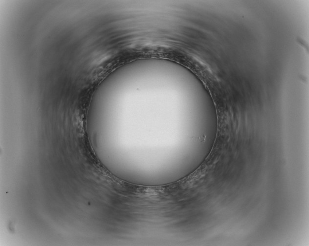 X0000097771013200803211732