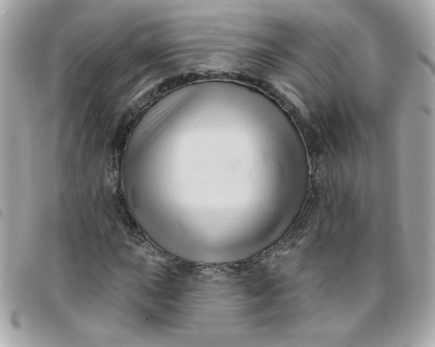 X0000097771015200803211732