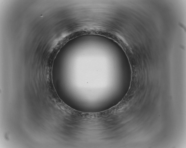 X0000097771016200803211732