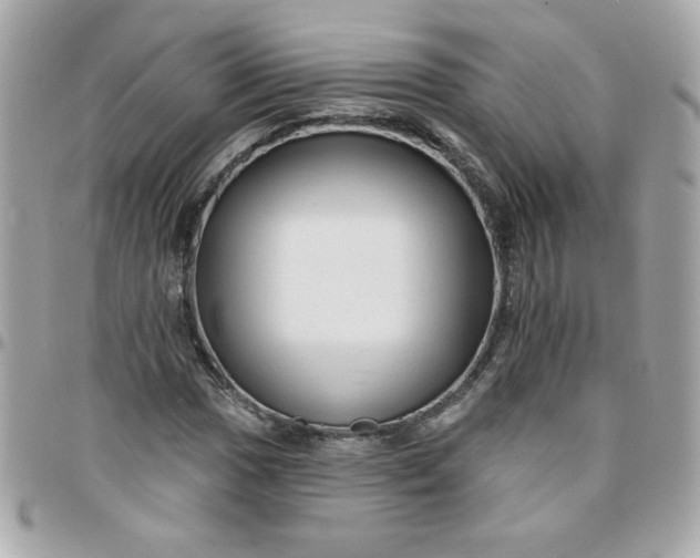 X0000097771017200803211732