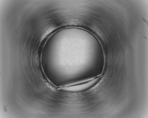 X0000097771018200803211732