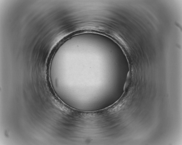 X0000097771020200803211732