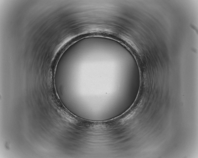 X0000097771021200803211732