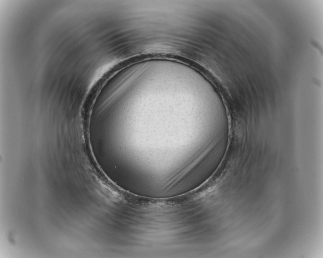 X0000097771022200803211732