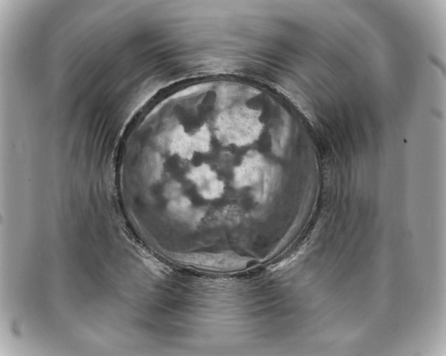 X0000097771023200803211732