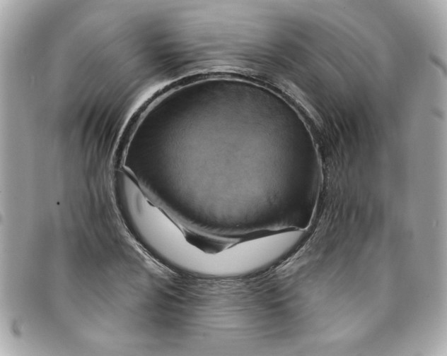 X0000097771024200803211732