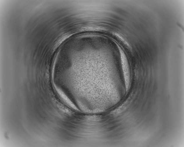 X0000097771025200803211732