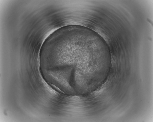 X0000097771028200803211732
