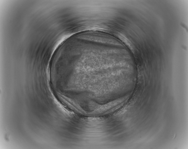 X0000097771032200803211732