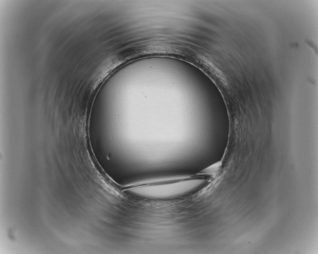 X0000097771033200803211732