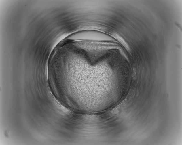 X0000097771036200803211732