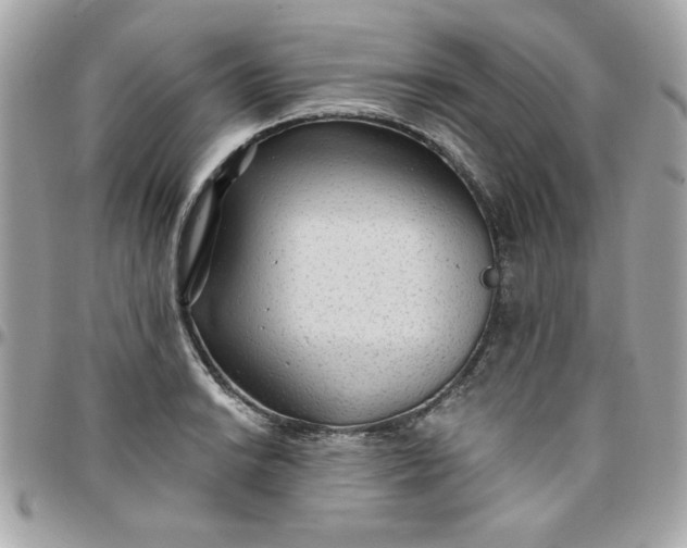 X0000097771038200803211732