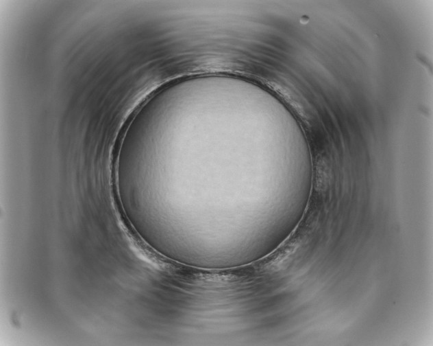 X0000097771039200803211732