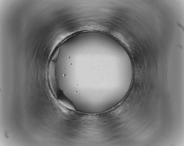 X0000097771040200803211732