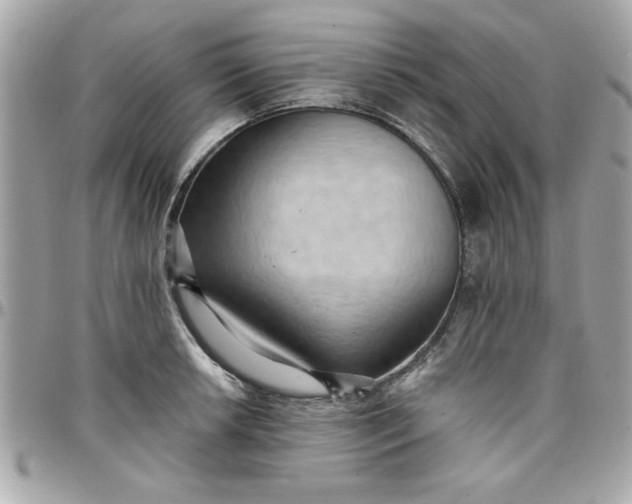 X0000097771042200803211732