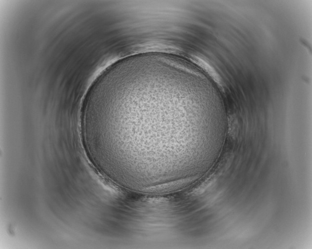 X0000097771043200803211732