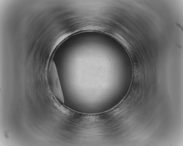 X0000097771044200803211732