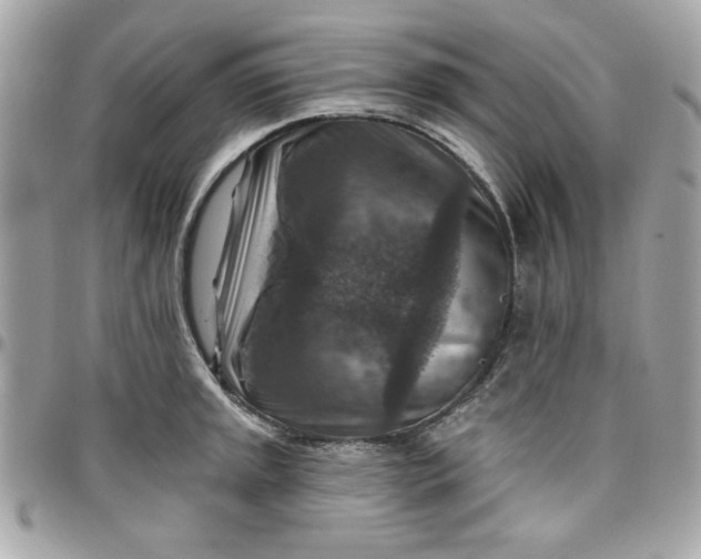 X0000097771045200803211732