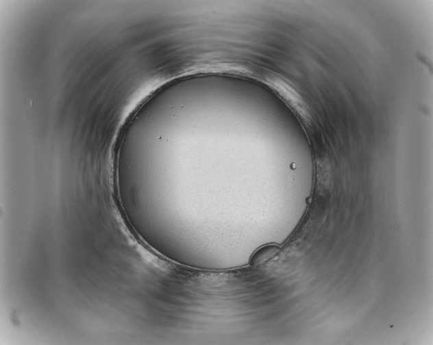 X0000097771046200803211732