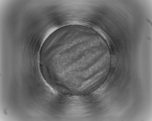 X0000097771048200803211732