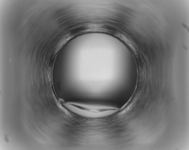 X0000097771049200803211732