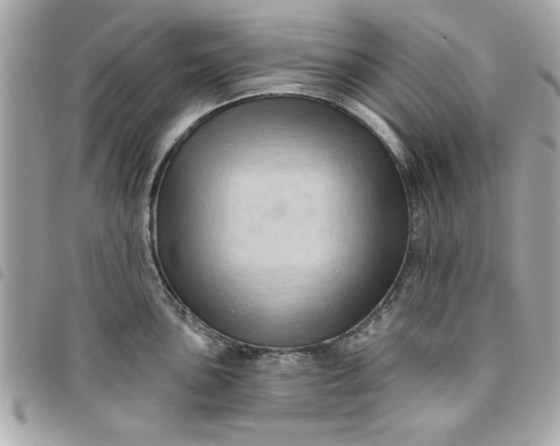 X0000097771051200803211732
