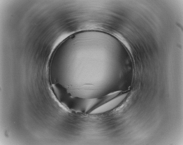 X0000097771053200803211732