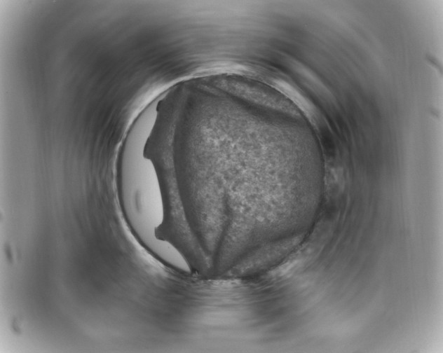 X0000097771055200803211732
