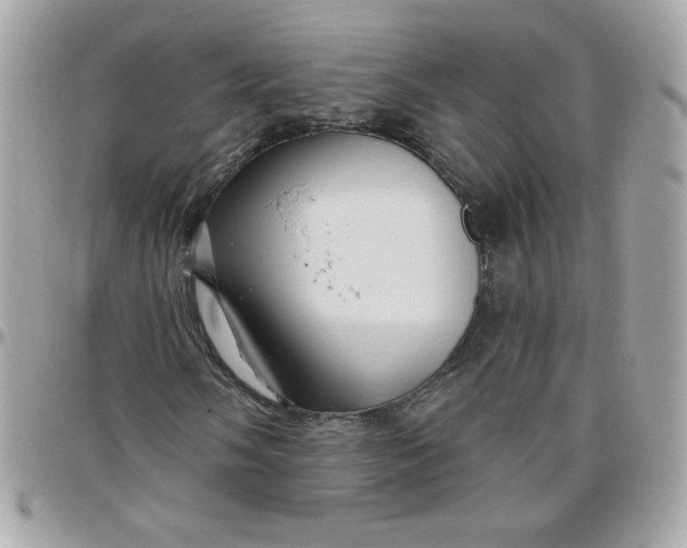 X0000097771058200803211731