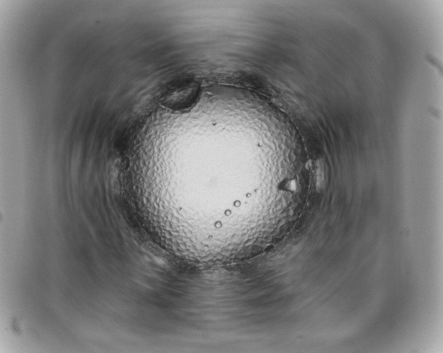 X0000097771059200803211731